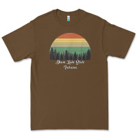 Cacao deam lake state Premium Tee - linhVisuals
