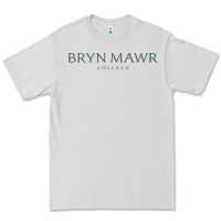 Dove Grey Bryn Mawr College Premium Tee - linhVisuals
