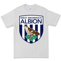 Dove Grey the-west-bromwich-albion-pen Premium Tee - linhVisuals