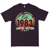 Plum est. 1983 vintage 1983 limited edition 39th birthday retro pullover ho Premium Tee - linhVisuals