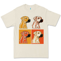 Rhodesian Ridgeback T  Shirt Rhodesian Ridgeback Dog Gift Idea T  Shir Premium Tee | Teevron