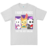 Dove Grey i have friends they are just online Premium Tee - linhVisuals