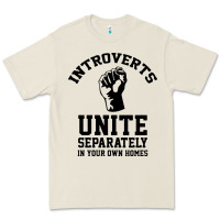 Introverts Unite Premium Tee | Teevron