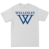 Dove Grey Wellesley College Premium Tee - linhVisuals
