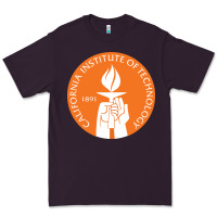 Plum california institute of technology Premium Tee - linhVisuals