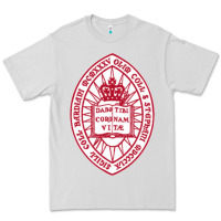 Dove Grey bard college Premium Tee - linhVisuals