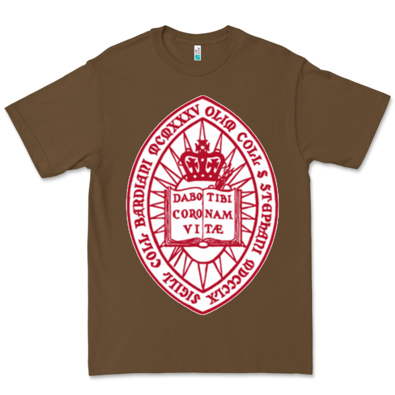 Bard College Premium Tee by linhVisuals | Teevron