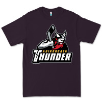 Plum the-adirondack-thunder-pen Premium Tee - linhVisuals