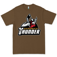 Cacao the-adirondack-thunder-pen Premium Tee - linhVisuals