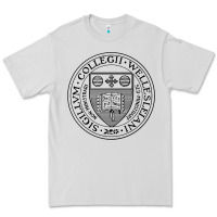 Dove Grey Wellesley College Premium Tee - linhVisuals