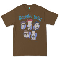 Barenaked Ladies Vintage 1993 Cartoon Premium Tee | Teevron