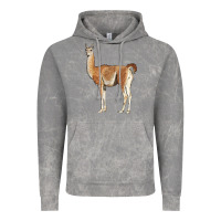 Cloud Rock guanaco llama Vintage Hoodie - LillyAllenDesigns