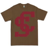 Cacao santa clara br Premium Tee - linhVisuals