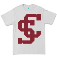 Dove Grey santa clara br Premium Tee - linhVisuals