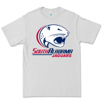 Dove Grey south alabam Premium Tee - linhVisuals
