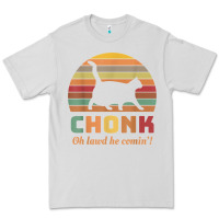Dove Grey chonk cat scale meme retro oh lawd he comin' memes t shirt Premium Tee - linhVisuals