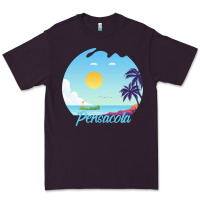 Plum pensacola t  shirt no place like pensacola t  shirt Premium Tee - linhVisuals