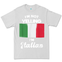 Dove Grey i'm not yelling i'm italian t shirt Premium Tee - linhVisuals