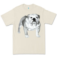 Bone English Bulldog Art Premium Tee - linhVisuals