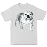 Dove Grey English Bulldog Art Premium Tee - linhVisuals