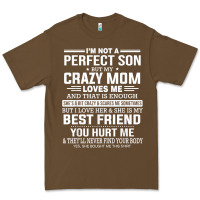 I'm Not A Perfect Son But My Crazy Mom Loves Me Mother's Day T Shirt Premium Tee | Teevron