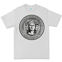 Dove Grey city college of new york seal Premium Tee - linhVisuals