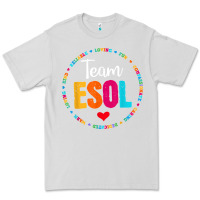 Dove Grey back to school teachers crew students   team esol teacher t shirt Premium Tee - linhVisuals