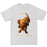 Dove Grey can i pet dat dawg funny dog dachshund lover doxie gift t shirt Premium Tee - linhVisuals