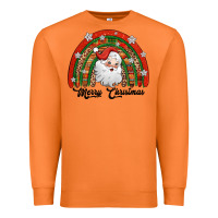 Carrot merry christmas santa rainbow Premium Sweatshirt - Jasminsmagicworld
