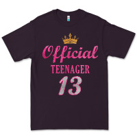 Plum official 13 teenager cute 13th birthday ideas for girls t shirt Premium Tee - linhVisuals