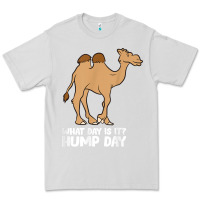 Dove Grey what day is it hump day funny camels hump day t shirt Premium Tee - linhVisuals