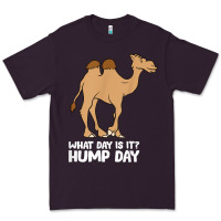 Plum what day is it hump day funny camels hump day t shirt Premium Tee - linhVisuals