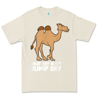 Bone what day is it hump day funny camels hump day t shirt Premium Tee - linhVisuals