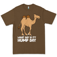 Cacao what day is it hump day funny camels hump day t shirt Premium Tee - linhVisuals