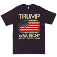 Plum vintage usa american flag trump was right about everything pullover ho Premium Tee - linhVisuals