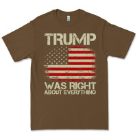 Cacao vintage usa american flag trump was right about everything pullover ho Premium Tee - linhVisuals