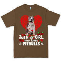 Pitbull Lover Dog Roses Funny Just A Girl Who Loves Pitbull 213 Pitbul Premium Tee | Teevron