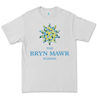 Dove Grey bryn mawr school Premium Tee - linhVisuals