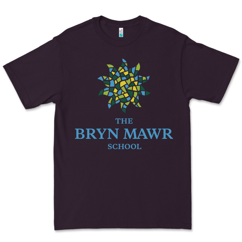 Bryn Mawr School Premium Tee by linhVisuals | Teevron
