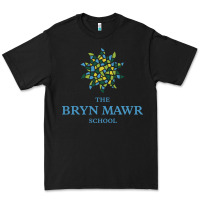 Black bryn mawr school Premium Tee - linhVisuals