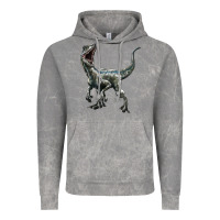 Cloud Rock Velociraptor Vintage Hoodie - LillyAllenDesigns