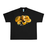 Black Pumpkin Urban Heavy Tee - LillyAllenDesigns