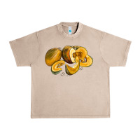 French Oak Pumpkin Urban Heavy Tee - LillyAllenDesigns