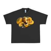 Pigment Black Pumpkin Urban Heavy Tee - LillyAllenDesigns