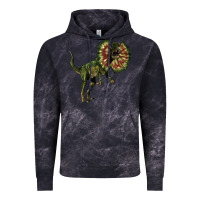 Cloud Black Dilophosaurus Vintage Hoodie - LillyAllenDesigns