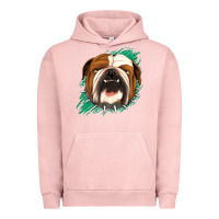 Pigment Salmon Bulldog Green glitter Urban Hoodie - Jasminsmagicworld