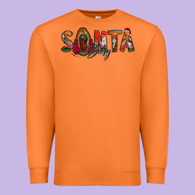 Santa Baby Lady Of Guadalupe Premium Sweatshirt Designed By Jasminsmagicworld