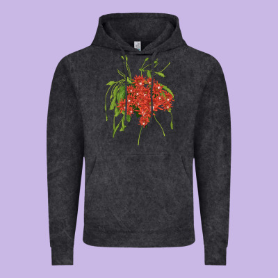 Red Orchid Cactus Vintage Hoodie Designed By Lillyallendesigns