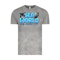 Cloud Rock Sea World Family Adventure 2025 Vintage Tee - CowhideDigitalArt