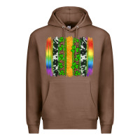 Chestnut st patricks day rainbow brushstroke Premium Hoodie - Artiststas
